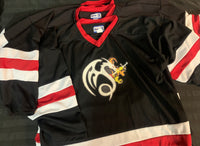 Set of 4 logoed numbered hockey jerseys