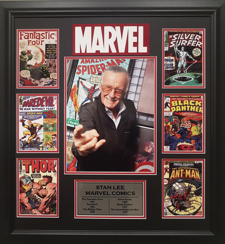 Stan Lee Comic Book Covers Collage