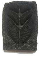 ZOOMBANG - Wrist Slash Guards